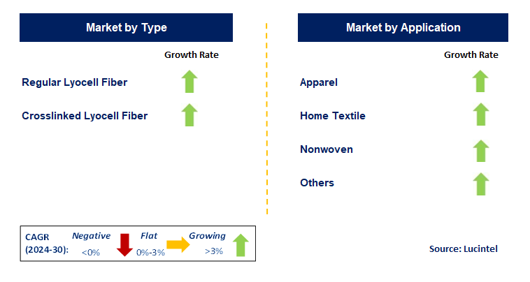 Lyocell Fiber by Segment